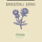 Barışmalı Şarkı